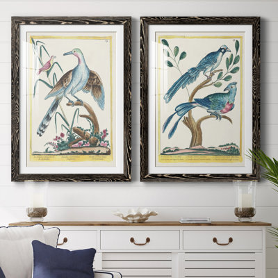 Pastel Birds V Premium encadré mat - prêt à être accroché