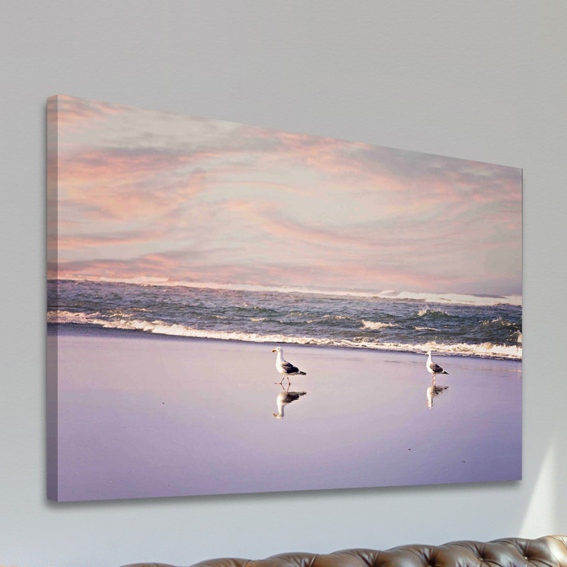 2 Seagulls by Sylvia Cook - Wrapped Canvas Print, 30 cm H x 45 cm W x 3.81 cm D