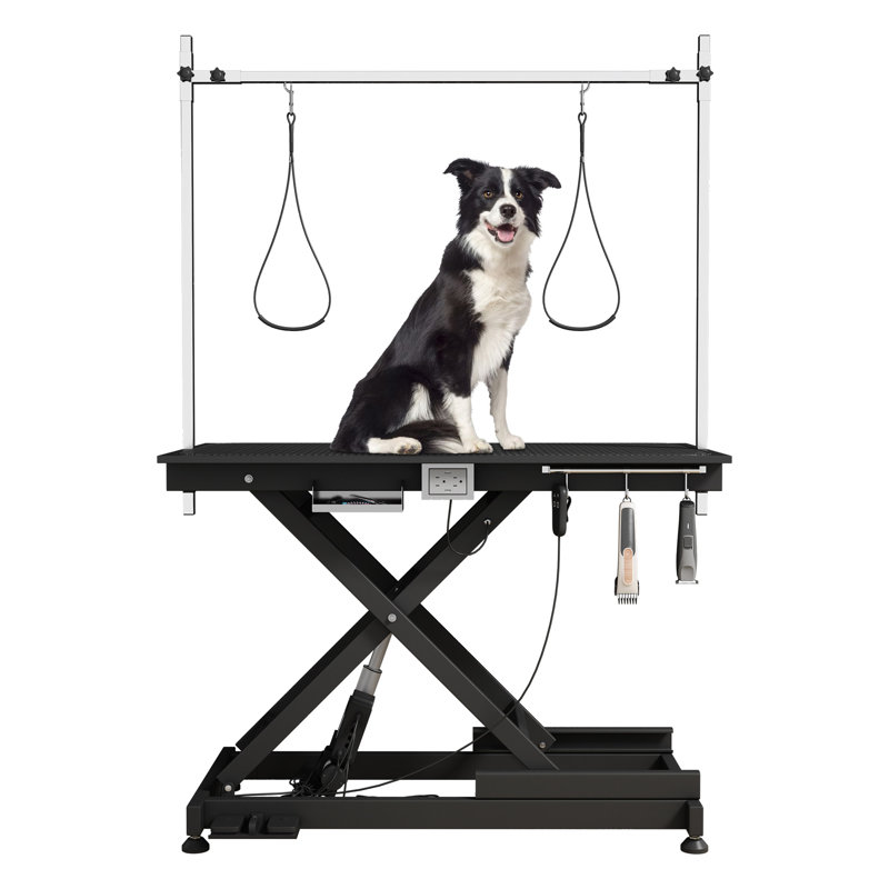 Electric Pet Grooming Table
