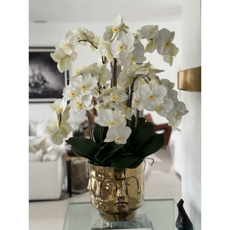 Orchid Floral Arrangement in Vase