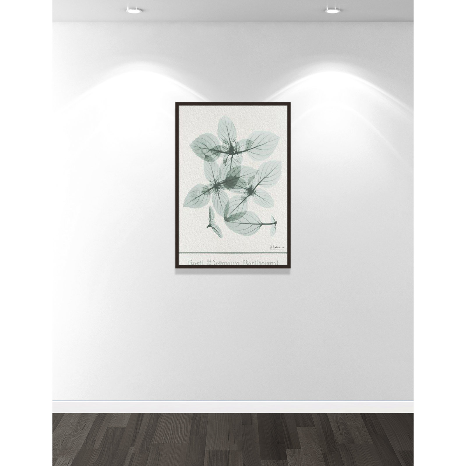 Jeanette "Basil Ocimum Basilicum" Painting, 41.5" H x 29.5" W x 1.25" D, Open Grain Walnut Framed Paper