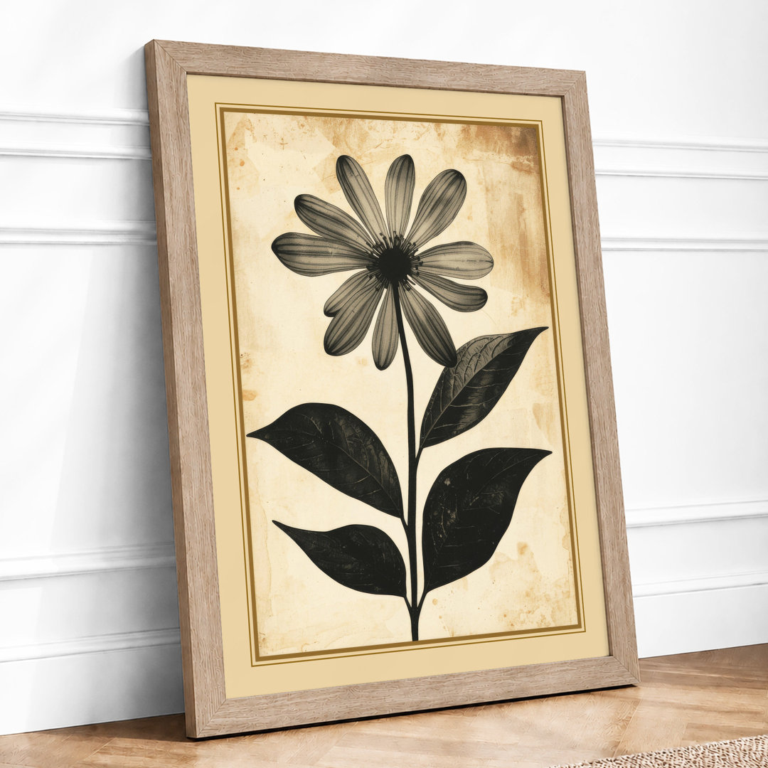 Daisy Study Botanical Framed Art Print