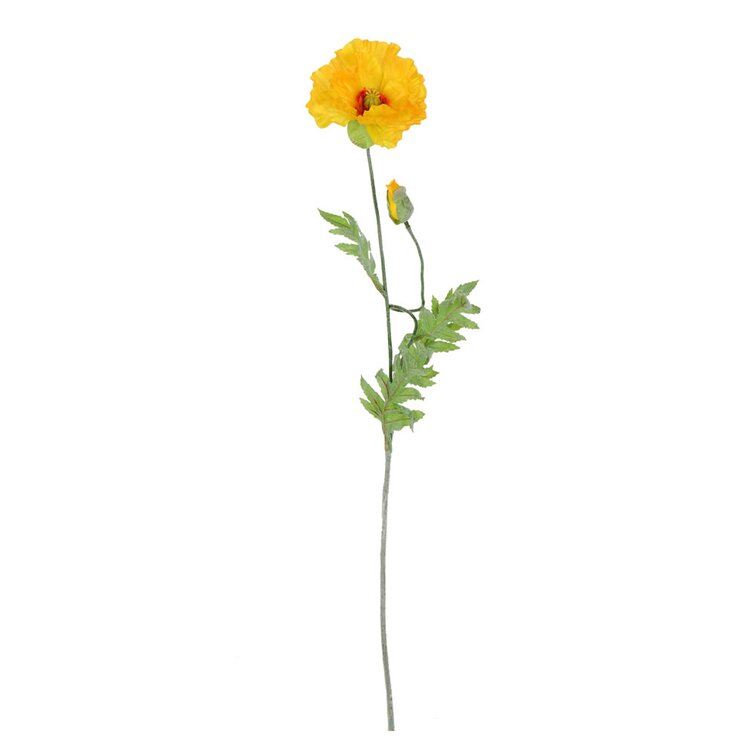 Primrue Poppy Arrangement | Wayfair