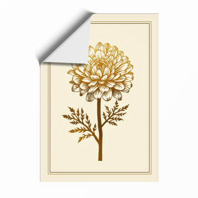 Chrysanthemum Study Botanical - Framed Print