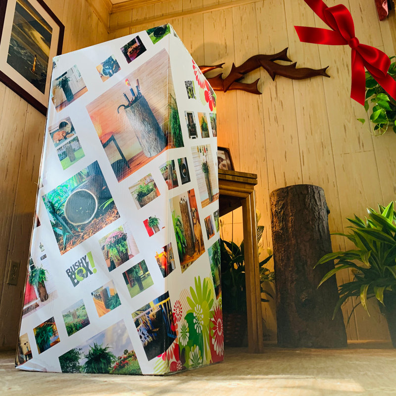 Laundry Hamper