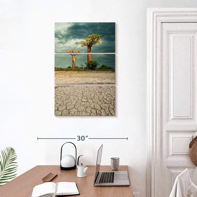 Baobab Masam à l'Ouest de Madagascar, H 32 po x l 20 po