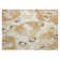 Machine Washable Indoor/Outdoor Colman ACN2132 Floral Rug