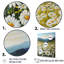Mountain Daisies On Hill II, reproduction d'art sur toile-2017105782-2017105776