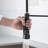 FLG Pull Down Kitchen Faucet