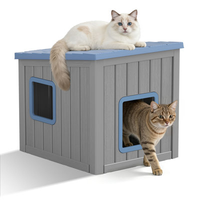 Niche pour chat d'extérieur résistante aux intempéries et robuste pour chats d'extérieur