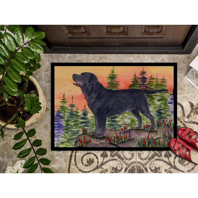 Tapis d'entrée antidérapant Tekonsha Labrador, Rectangle 2 pi x 3 pi