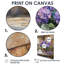 Art mural floral sur toile, impression de fleur botanique - composition florale de jardin-1041890508-1041890509-1041890510