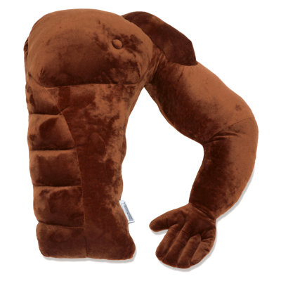 Pillow Insert