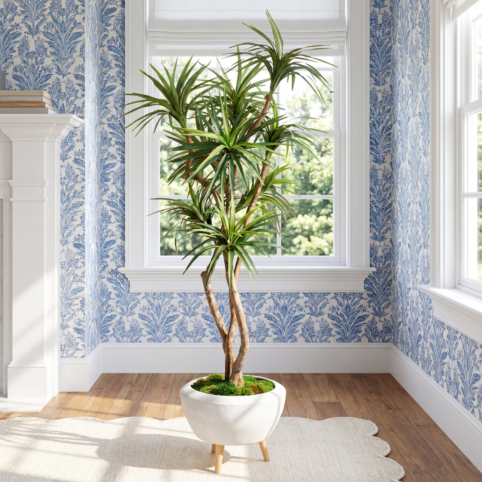 Torrens 90" Dracaena Tree in Planter