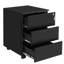 Mccree 39cm Wide 3 -Drawer Mobile File Cabinet