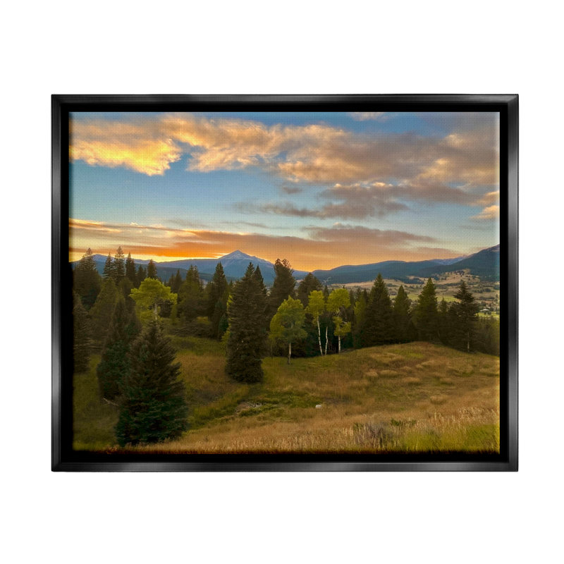 «Montana Sunset Forest Clearing Floater» par Emily Navas, Cadre flottant noir de jais, H 17 po x l 21 po x P 1,7 po