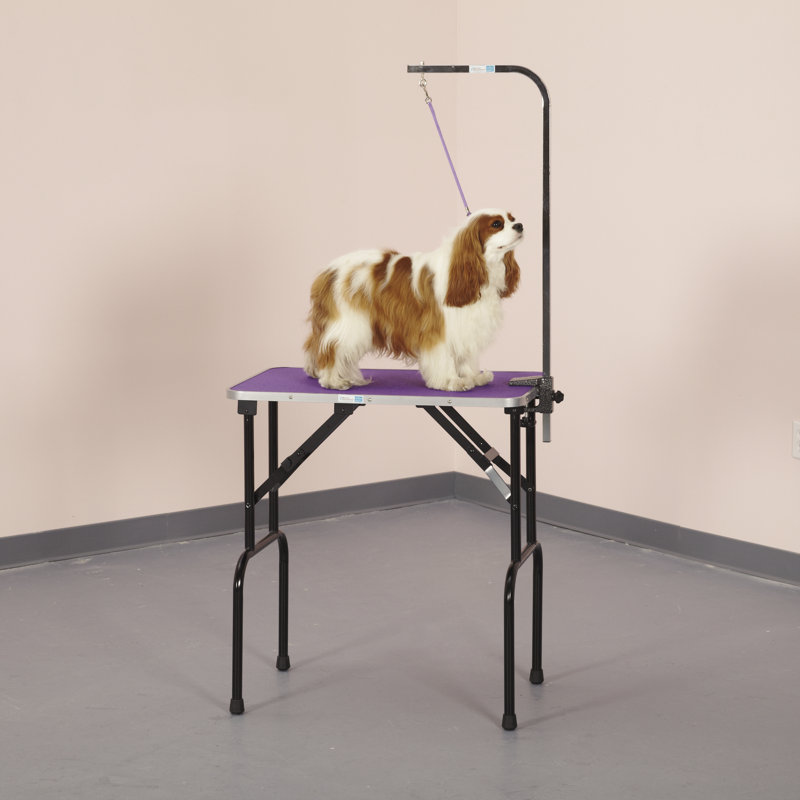 48'' Metal Foldable Dog Folding Grooming Table, 48" H x 21.5" W x 37.8" D, Purple