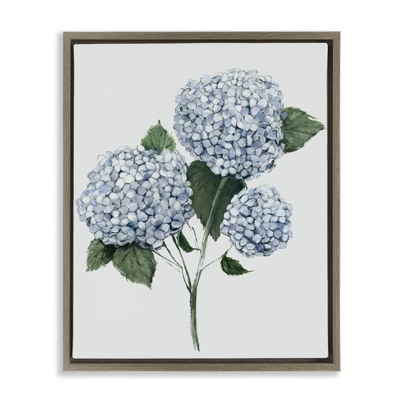 «Hydrangea Bulb Trio», art mural encadré noir sur toile flottante, design par Hannah Dawson, 31" H x 25" W