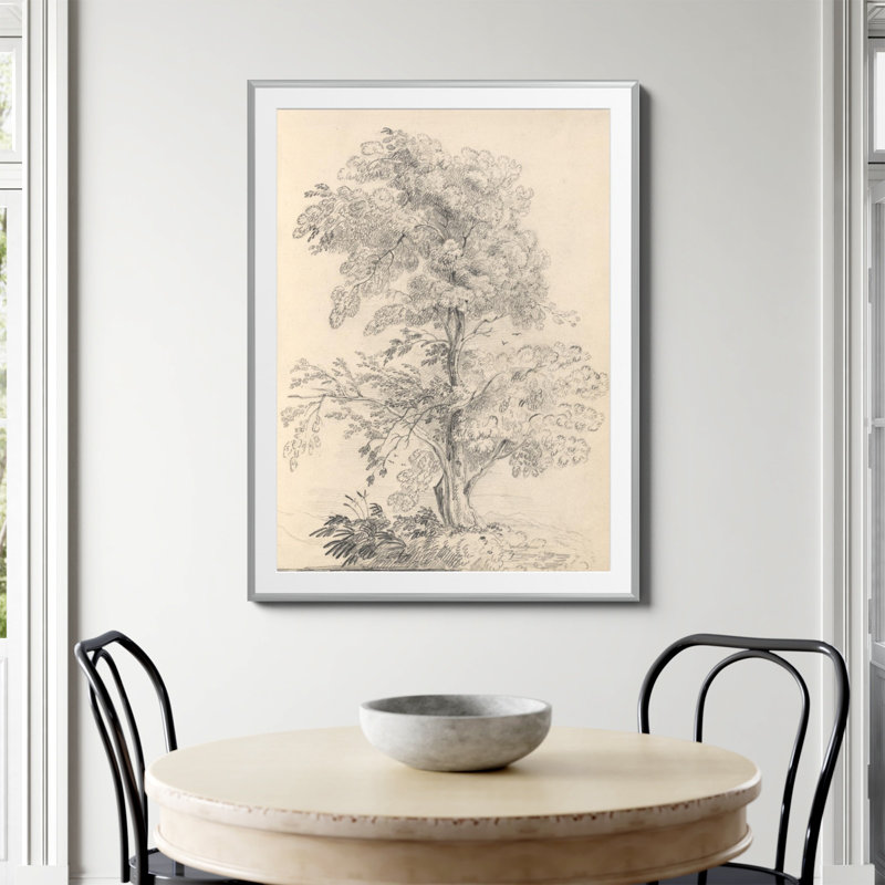 «Tree Sketch» par Wild Apple, H 48 po x l 36 po, Papier avec cadre simple argenté, Oui