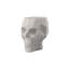 Skull - Stool-513494978