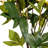 Ramet 23" Artificial Peony Bush-22433320