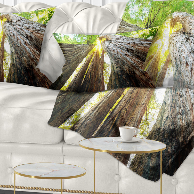 Sequoia Tree - Landscape Printed Throw Pillow