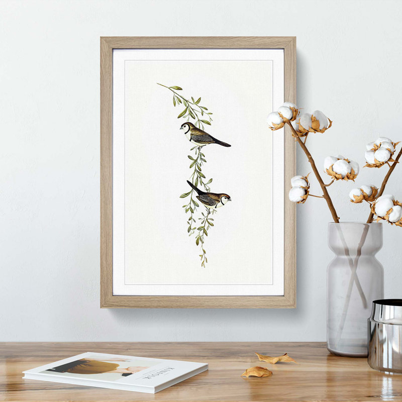 Black-Rumped Finch Birds by Elizabeth Gould - Picture Frame Painting Print, 65cm H x 48cm W x 2cm D, Oak Framed