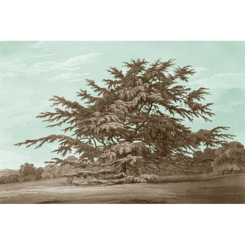 Serene Trees VI by Edward Kennion - Wrapped Canvas Painting, 30cm H x 46cm W