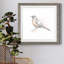 Robin des bois II-62718990-62718997