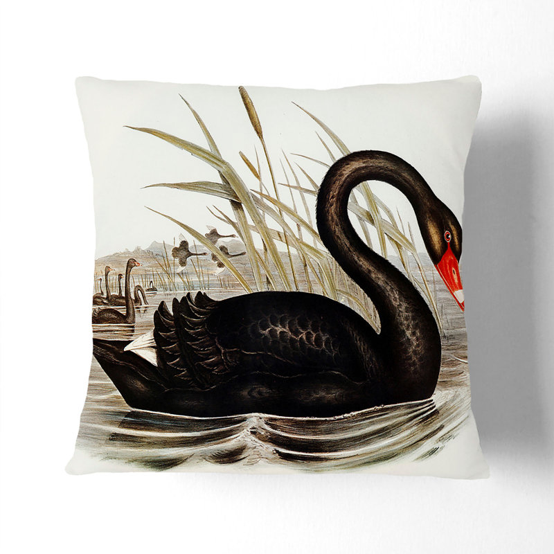 Floral Square Cushion, 55cm H x 55cm W x 20cm D