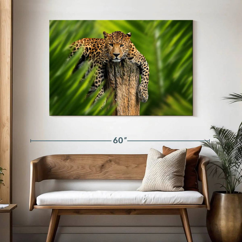 Brampt Jungle Leopard