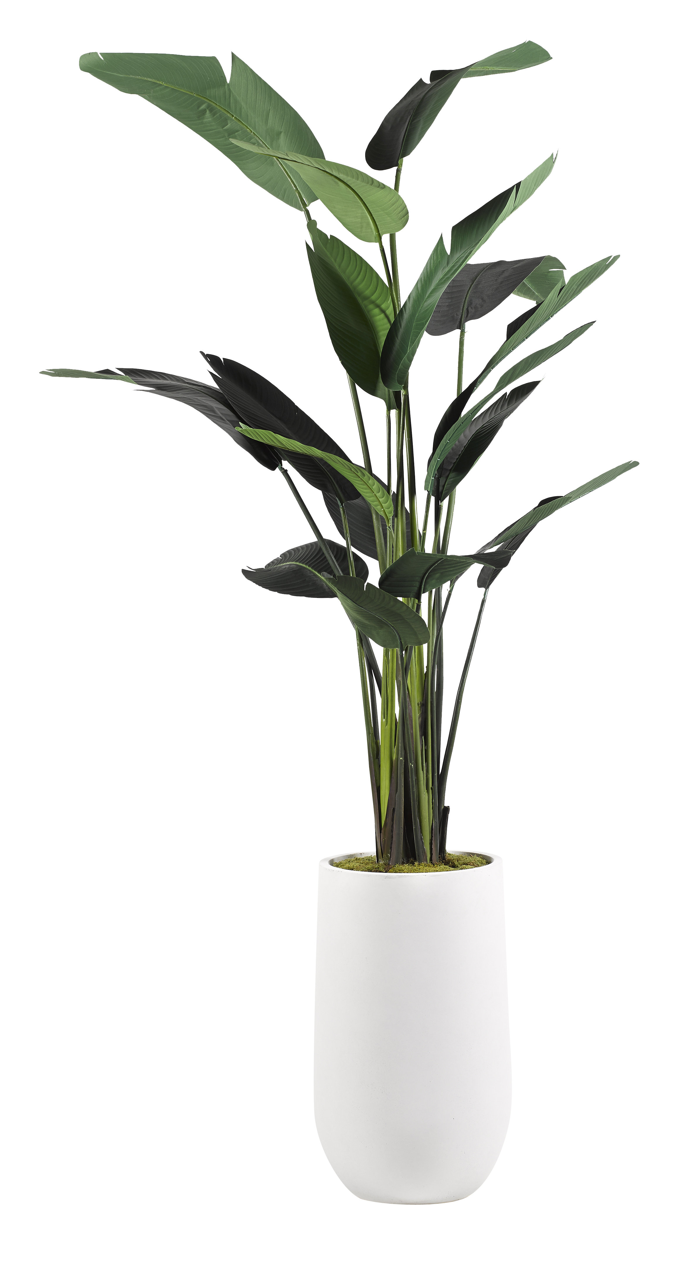 D & W Silks 108'' Faux Traveler Palm Tree in Planter Wayfair