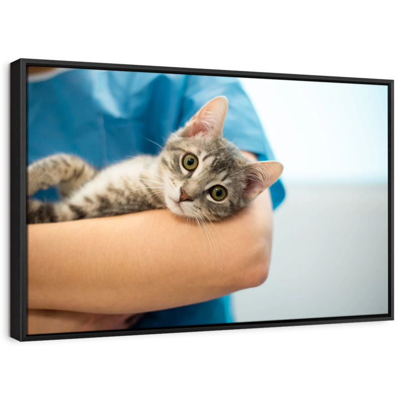 «Cat Doctor», H 25 po x l 37 po