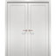Planum Paneled Wood Standard White Doors