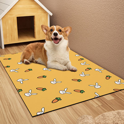 Tapis pour animaux