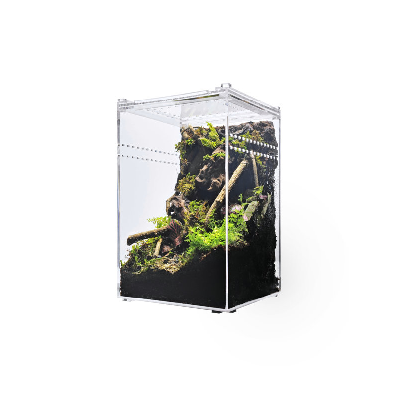 Acrylic Reptile Terrarium, 2 Gallon - 9.5"H x 6"W x 6"D