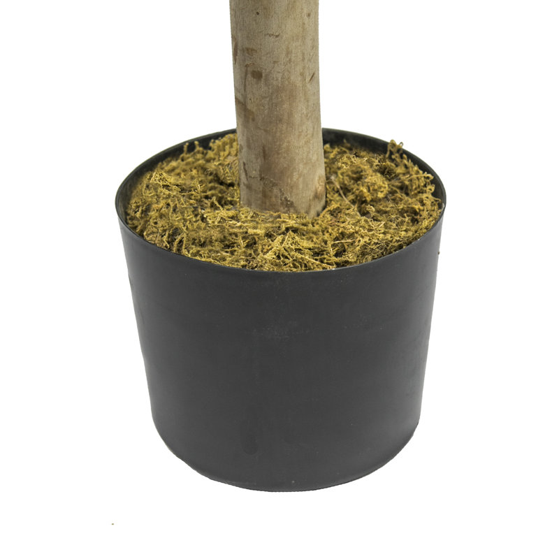 72'' Faux Ficus Tree in Pot