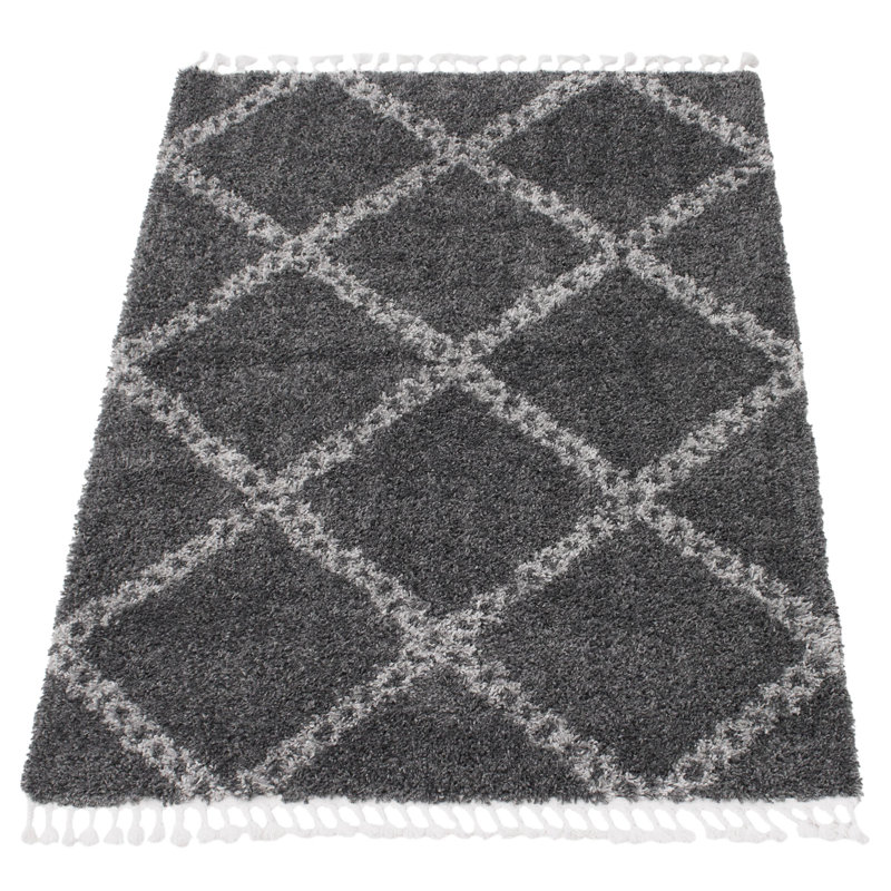 Tapis gris à poils longs Reuter, Rectangle 3 pi 11 po x 5 pi 11 po