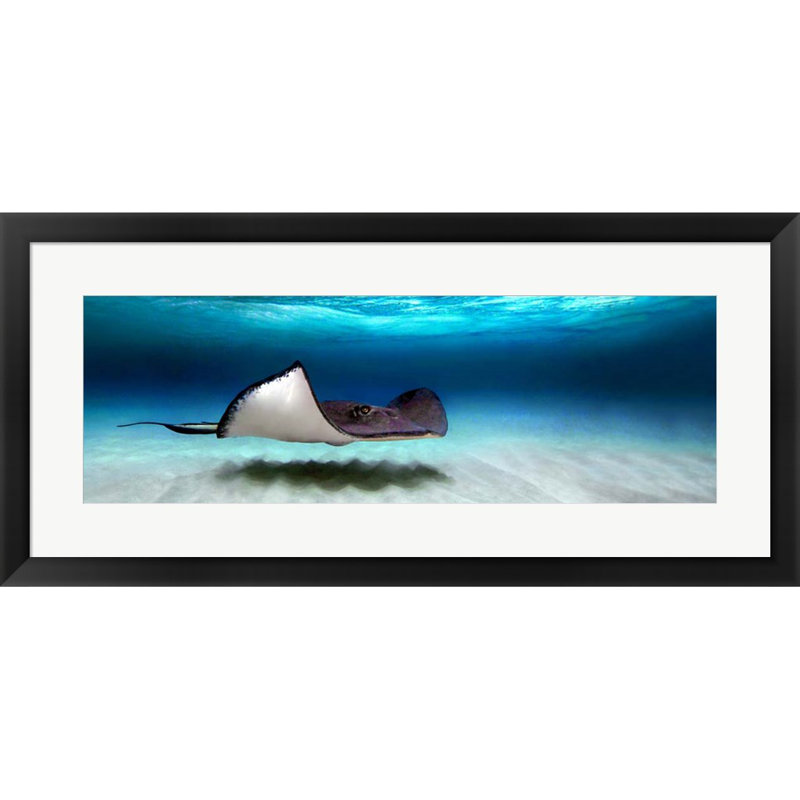 Nautical & Beach Wall Decor on Paper
