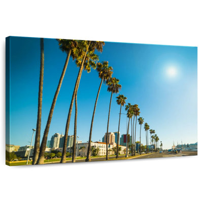 Harnek San Diego Palm Trees