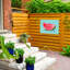 Décoration murale Abdera Grace Popp «Summer Watermelon I»-1706091473
