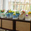 Pot de fleurs-1443023944