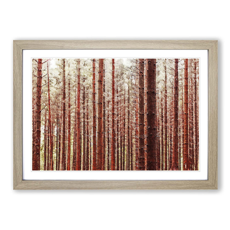 Red Forest in the Autumn - Picture Frame Photograph Print, 36cm H x 48cm W x 2cm D, Oak Framed