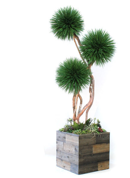 Faux Bonsai Tree in Wood Pot