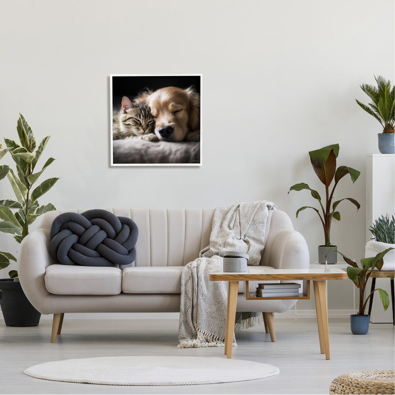 Az-177-Imprimé de chat et de chien encadré, Giclée encadrée blanc bord de mer, H 24 po x l 24 po x P 1,5 po