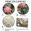 Drissia hortensias par The Farmhouse Gate II - hydrangées, art mural-1761437952-1761437962-1761437953
