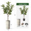 Arbre artificiel en fleur noire et blanche-104345526