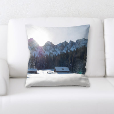 Throw Pillow