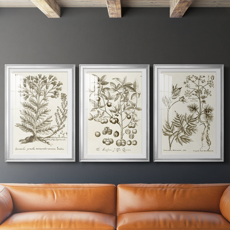 Sépia Botanical Journal I - Impression encadrée sur mesure de qualité supérieure - 3 pièces, H 19 po x l 27 po