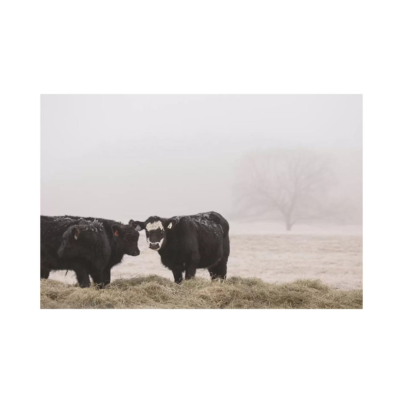 Farm Study 1 Piece Wrapped Canvas Wall Art, 20.32cm H x 30.48cm W